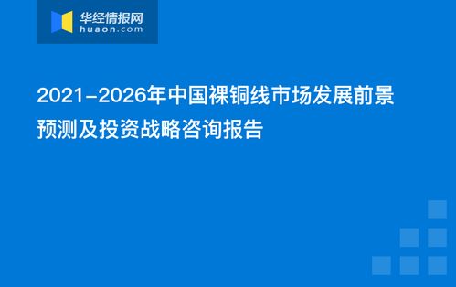 2021 2026年中国裸铜线市场发展前景预测及投资战略咨询报告